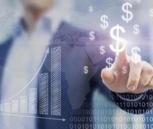 Participations and Investments